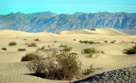 Death Valley Honeymoon (41)