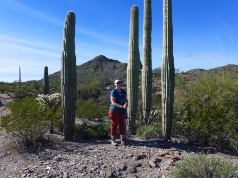 Hanging with some of my favorite cacti! - photo by M