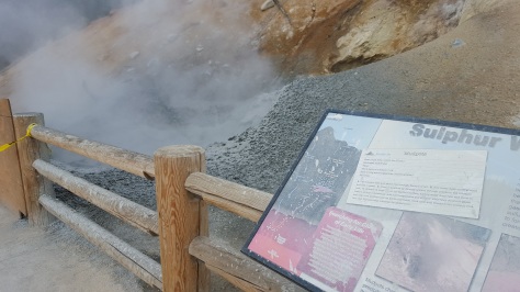Super-active pot is throwing boiling mud ONTO the signs for visitors to stand at and read
