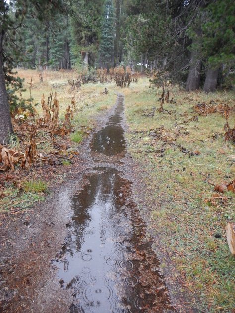 Ah the rainy trails...